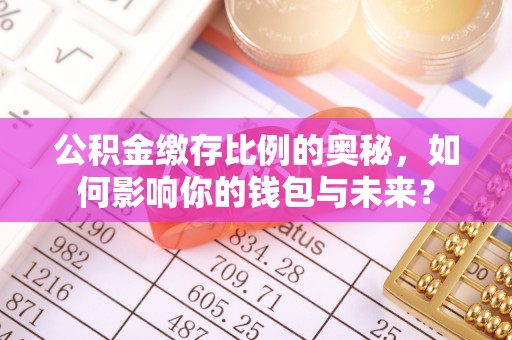巴里坤公积金缴存比例的奥秘，如何影响你的钱包与未来？