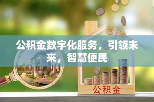 巴里坤公积金数字化服务，引领未来，智慧便民
