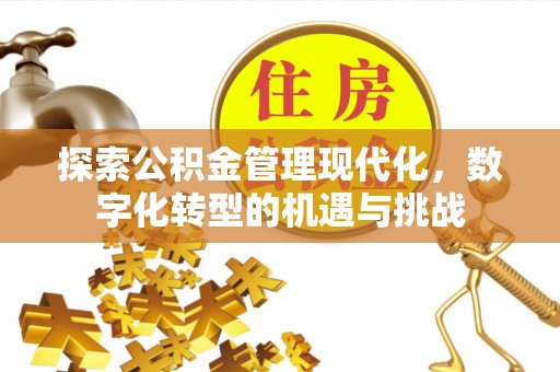 巴里坤探索公积金管理现代化，数字化转型的机遇与挑战