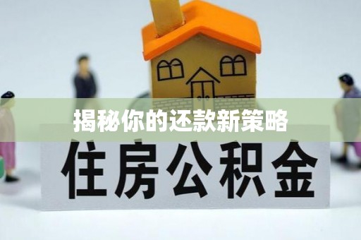 巴里坤揭秘你的还款新策略