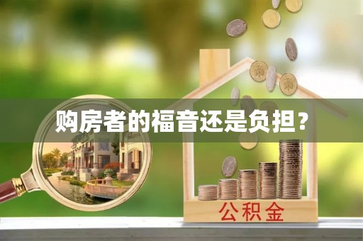 巴里坤购房者的福音还是负担？