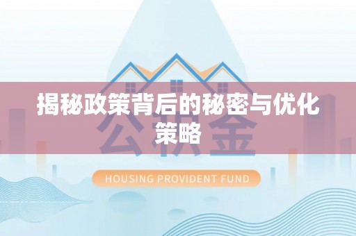 巴里坤揭秘政策背后的秘密与优化策略