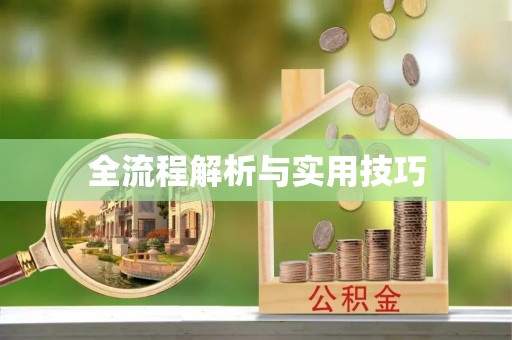 巴里坤全流程解析与实用技巧