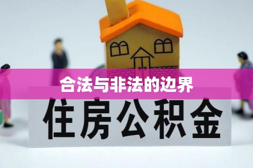 巴里坤合法与非法的边界
