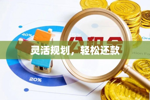 巴里坤灵活规划，轻松还款