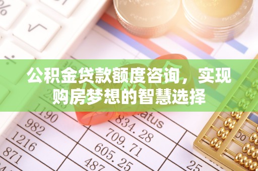 巴里坤公积金贷款额度咨询，实现购房梦想的智慧选择