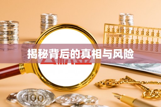 巴里坤揭秘背后的真相与风险