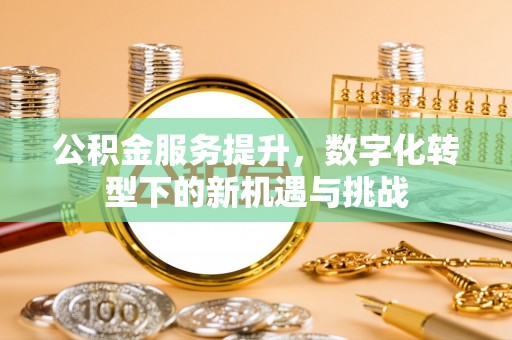 巴里坤公积金服务提升，数字化转型下的新机遇与挑战
