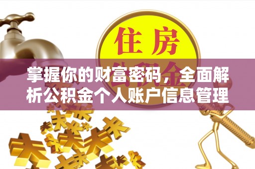 巴里坤掌握你的财富密码，全面解析公积金个人账户信息管理与优化