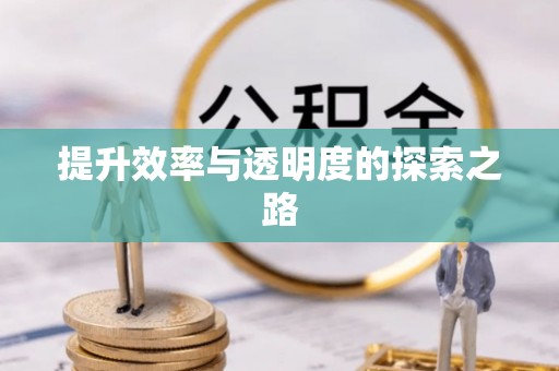 巴里坤提升效率与透明度的探索之路