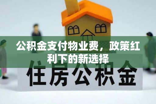 巴里坤公积金支付物业费，政策红利下的新选择