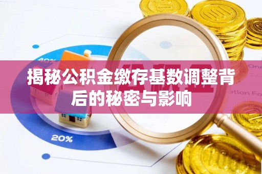 巴里坤揭秘公积金缴存基数调整背后的秘密与影响