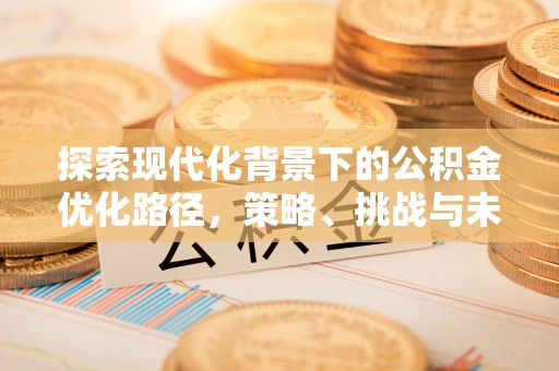 巴里坤探索现代化背景下的公积金优化路径，策略、挑战与未来展望