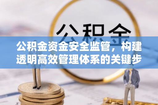 巴里坤公积金资金安全监管，构建透明高效管理体系的关键步骤