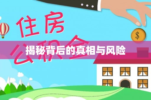 巴里坤揭秘背后的真相与风险