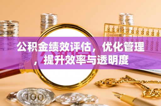 巴里坤公积金绩效评估，优化管理，提升效率与透明度