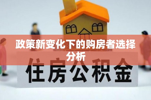 巴里坤政策新变化下的购房者选择分析