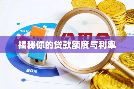 巴里坤揭秘你的贷款额度与利率