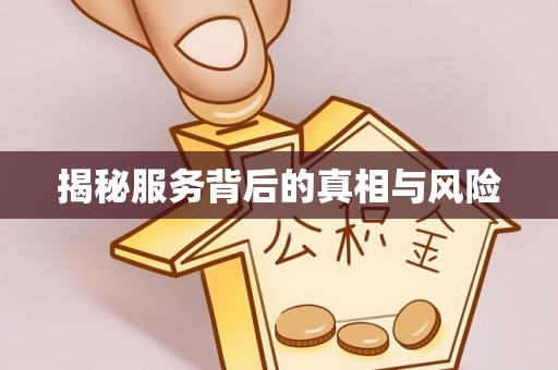 巴里坤揭秘服务背后的真相与风险
