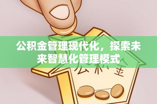 巴里坤公积金管理现代化，探索未来智慧化管理模式