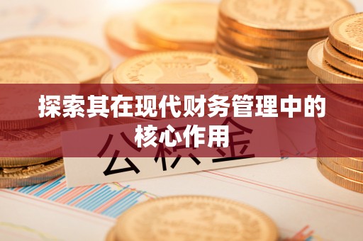 巴里坤探索其在现代财务管理中的核心作用