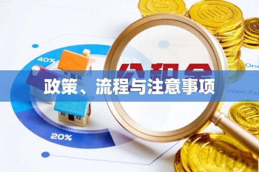 巴里坤政策、流程与注意事项