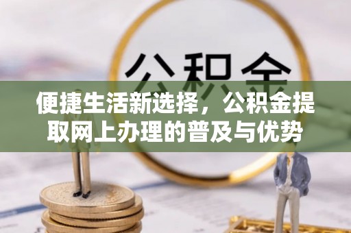 巴里坤便捷生活新选择，公积金提取网上办理的普及与优势