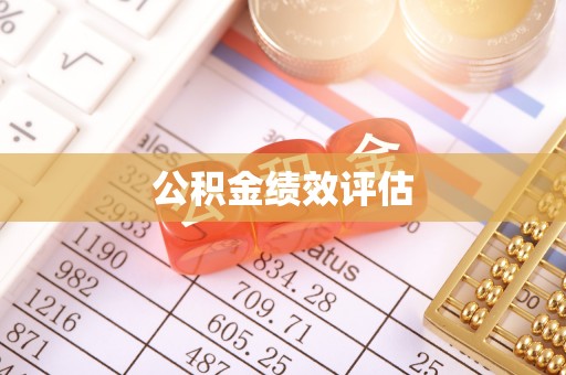 巴里坤公积金绩效评估