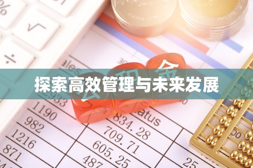 巴里坤探索高效管理与未来发展