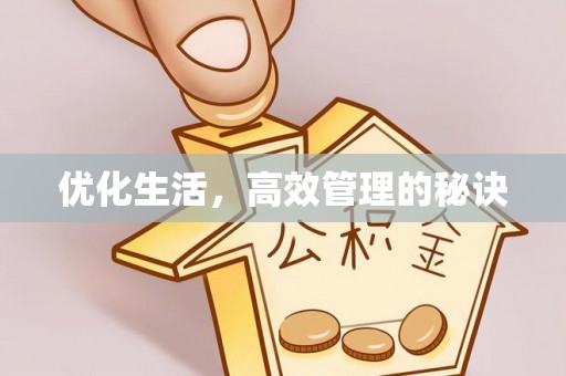 巴里坤优化生活，高效管理的秘诀