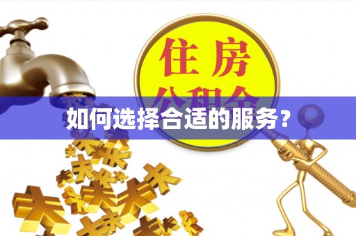 巴里坤如何选择合适的服务？