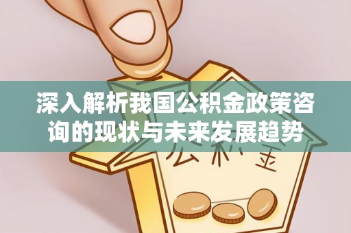 巴里坤深入解析我国公积金政策咨询的现状与未来发展趋势