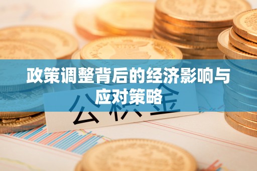 巴里坤政策调整背后的经济影响与应对策略
