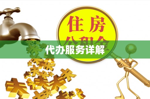 巴里坤代办服务详解