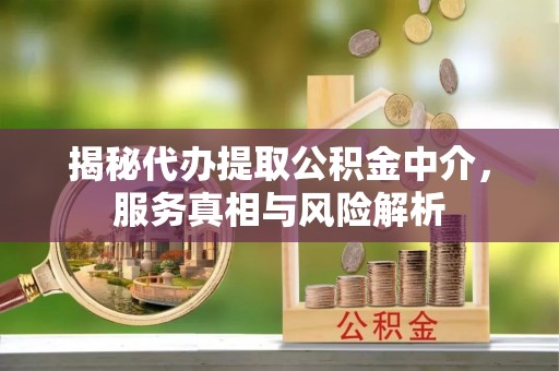 巴里坤揭秘代办提取公积金中介，服务真相与风险解析