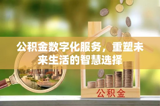 巴里坤公积金数字化服务，重塑未来生活的智慧选择