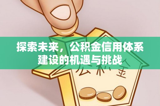 巴里坤探索未来，公积金信用体系建设的机遇与挑战