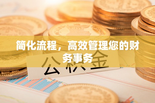 巴里坤简化流程，高效管理您的财务事务