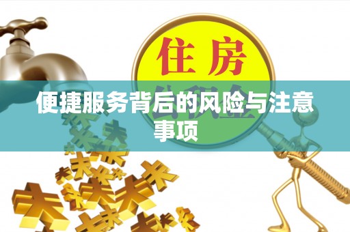 巴里坤便捷服务背后的风险与注意事项