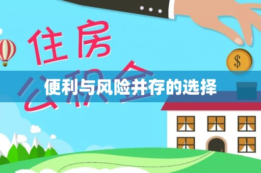 巴里坤便利与风险并存的选择