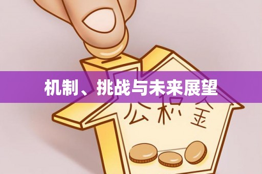 巴里坤机制、挑战与未来展望