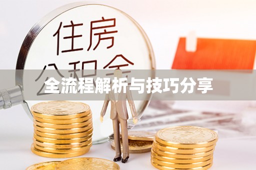 巴里坤全流程解析与技巧分享