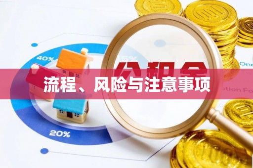 巴里坤流程、风险与注意事项