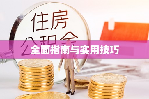 巴里坤全面指南与实用技巧
