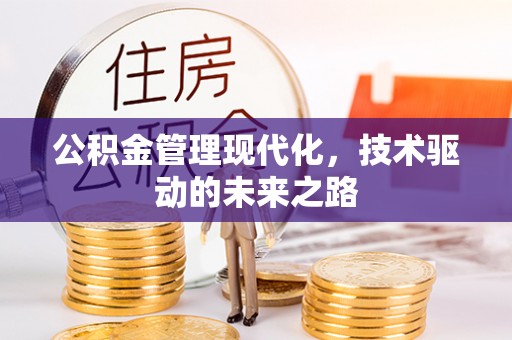 巴里坤公积金管理现代化，技术驱动的未来之路